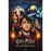 Harry Potter 20 Years Of Magic Maxi Poster