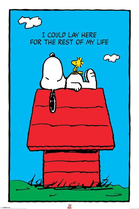 Snoopy Maxi Poster