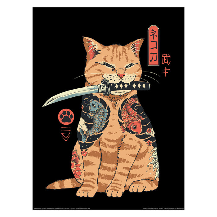 Catana 30X40 Poster