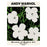 Flowers 30X40 Poster