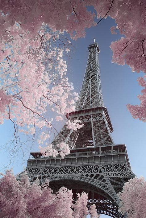Eiffel Tower Maxi Poster