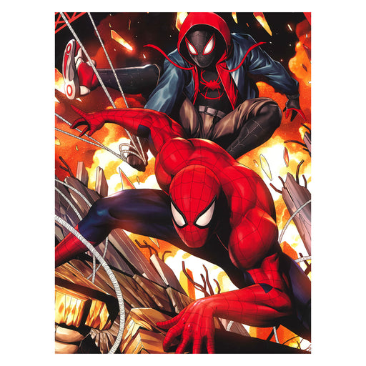 Web Partnership 30X40 Poster