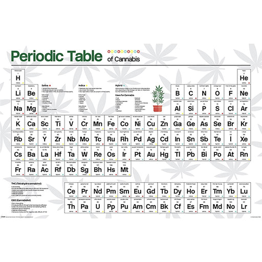 Periodict Table Of Cannabis Maxi Poster