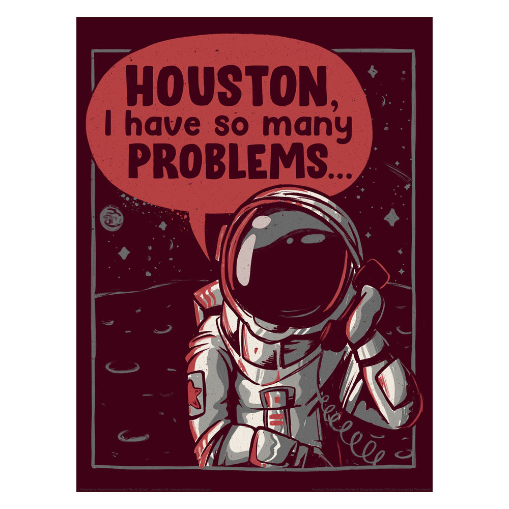 So Many Problems 30X40 Poster