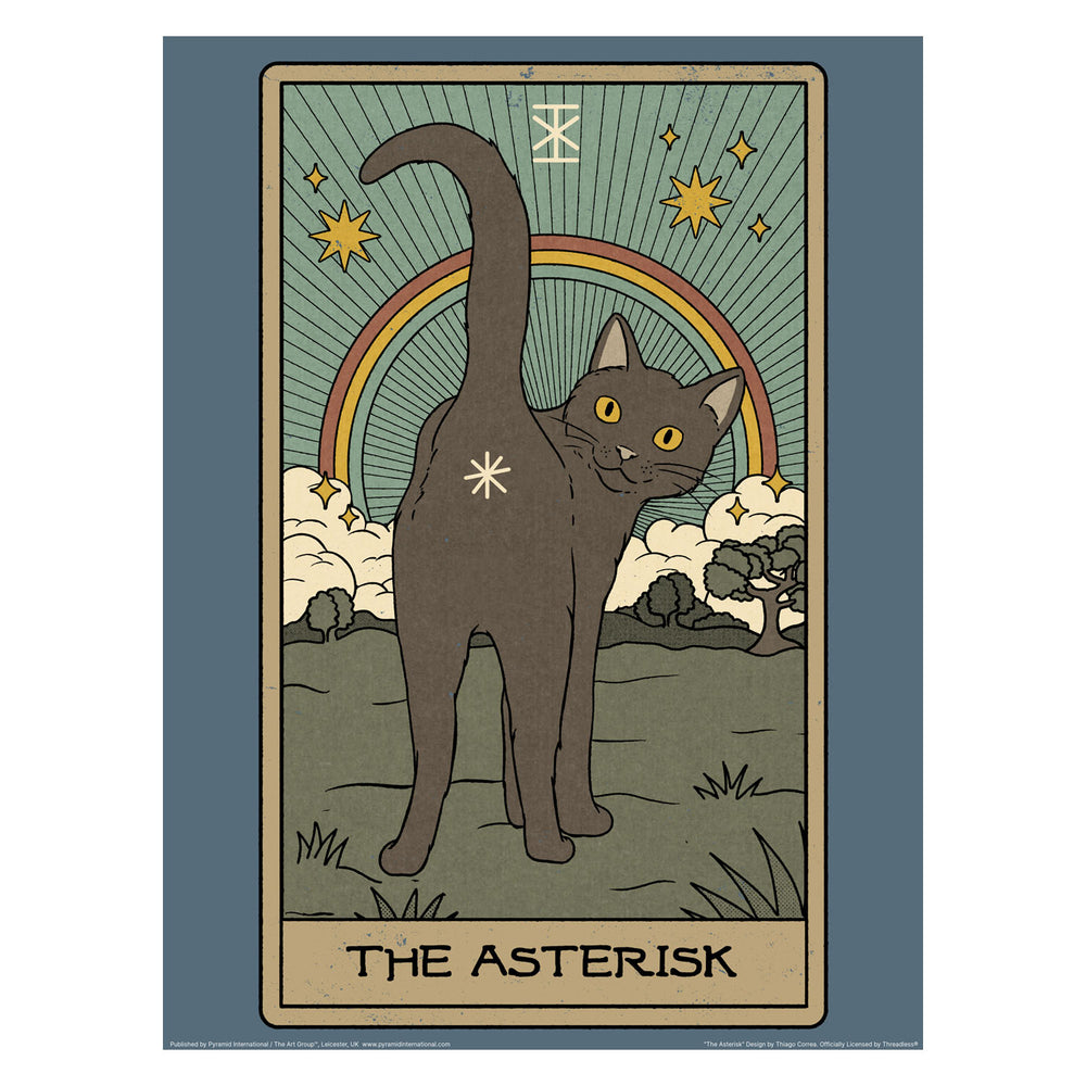 The Asterisk 30X40 Poster