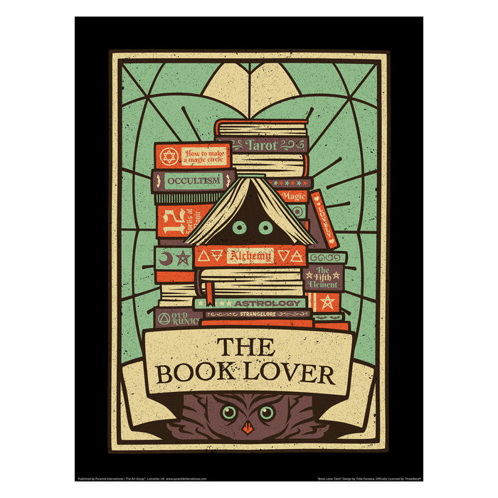 The Book Lover 30X40 Poster