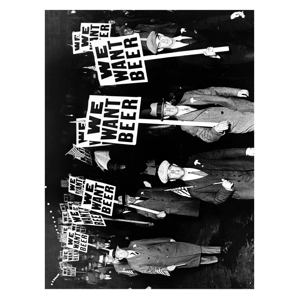 We Want Beer 30X40 Poster