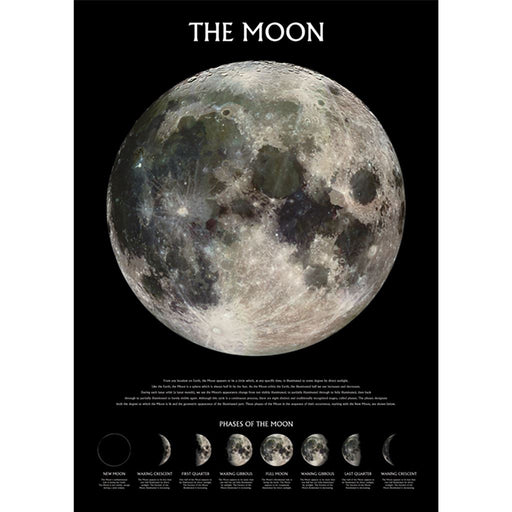 Moon Phases Maxi Poster