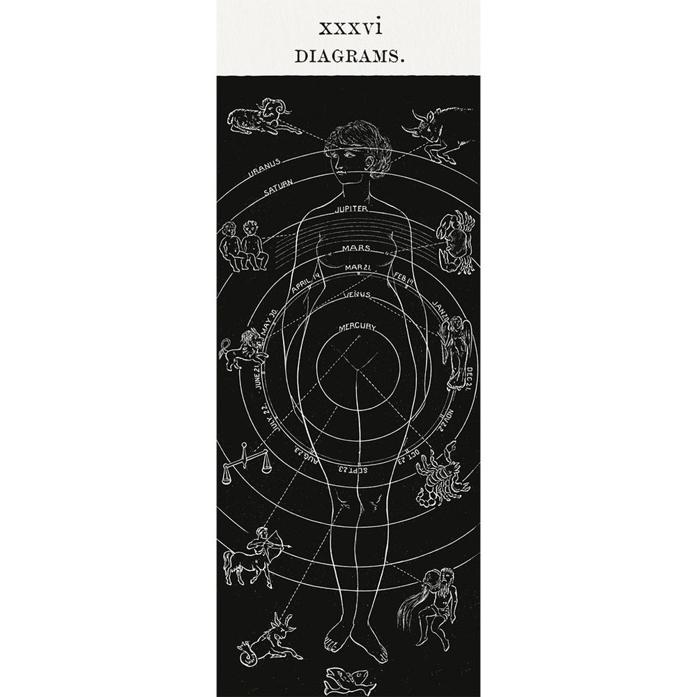 Diagram No 6 Maxi Poster